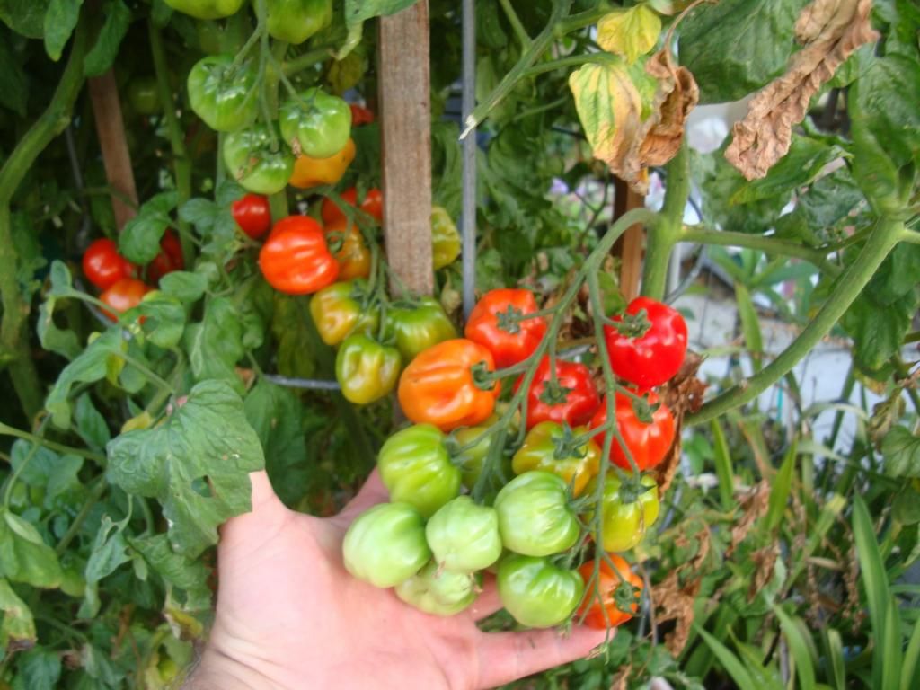  photo DSC05174Copy.jpg